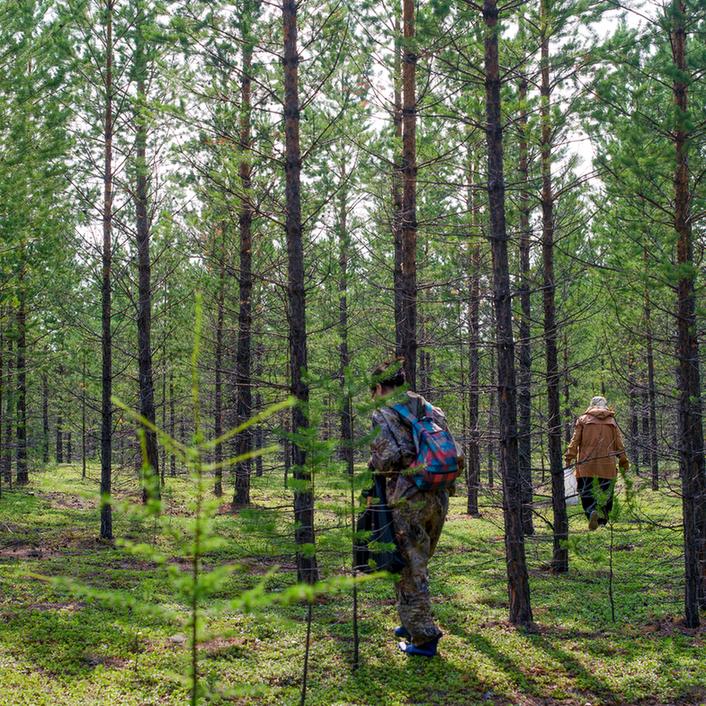 Paar spaziert durch den Wald, trägt lange Hosen und Jacken zum Schutz vor Mücken.