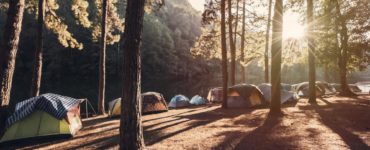 Campingplatz im Wald mit vielen Zelten im Morgengrauen, die Sonne geht im Hintergrund auf.