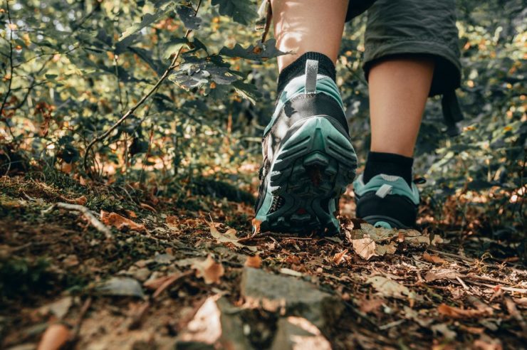 Guter Laufschuh für den Wald