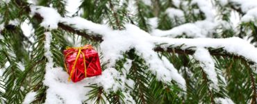 Ein leuchtend rotes, in glänzendes Papier eingewickeltes Geschenk liegt dekorativ auf einem Tannenzweig, der von Schnee bedeckt ist, und vermittelt eine winterliche, festliche Stimmung.