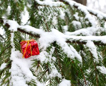 Ein leuchtend rotes, in glänzendes Papier eingewickeltes Geschenk liegt dekorativ auf einem Tannenzweig, der von Schnee bedeckt ist, und vermittelt eine winterliche, festliche Stimmung.