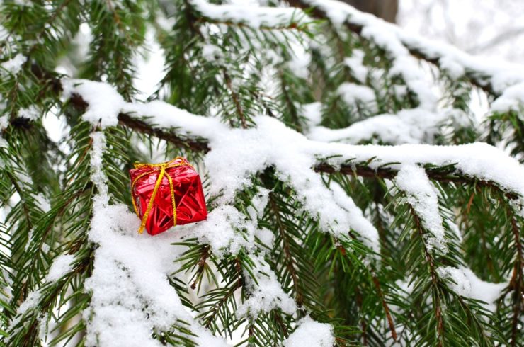 Ein leuchtend rotes, in glänzendes Papier eingewickeltes Geschenk liegt dekorativ auf einem Tannenzweig, der von Schnee bedeckt ist, und vermittelt eine winterliche, festliche Stimmung.