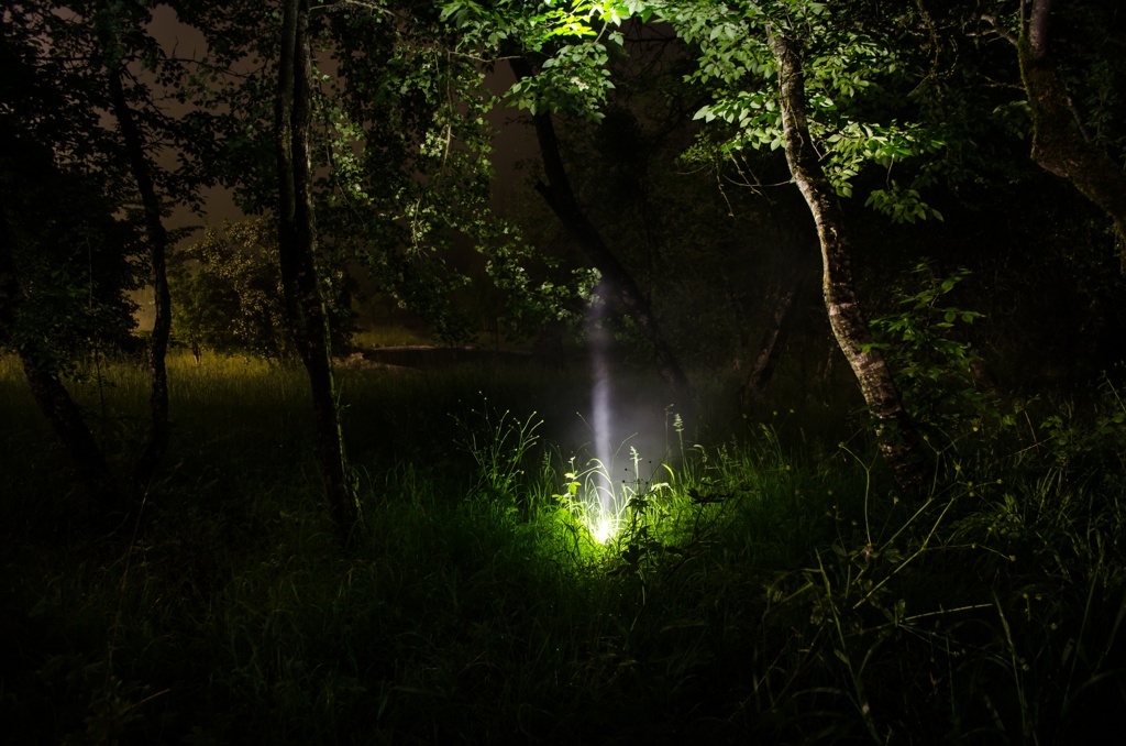 Ein intensiver Lichtstrahl beleuchtet das dichte Grün eines Waldes in einer dunklen, mystischen Nacht.