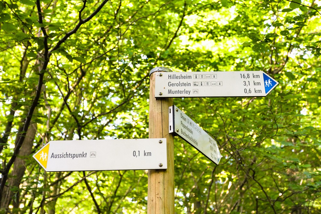 Ein moderner Wegweiser im Wald mit weißen Schildern und blauen Symbolen. Er gibt die Entfernung zu Zielen wie „Hillesheim“ und „Munterley“ an, inklusive Symbolen für Wanderer und Sehenswürdigkeiten.