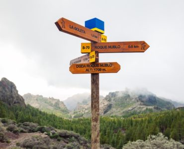 Ein Holzwegweiser in einer bergigen Landschaft mit Schildern, die Ziele wie „Roque Nublo“ anzeigen, begleitet von Symbolen für Wanderer. Im Hintergrund sind Wald und Berge zu sehen.