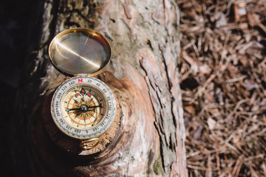 Ein alter Kompass mit einem geöffneten goldenen Deckel liegt auf einem Baumstamm im Wald. Die Kompassnadel zeigt nach Norden, umgeben von herbstlichem Laub.